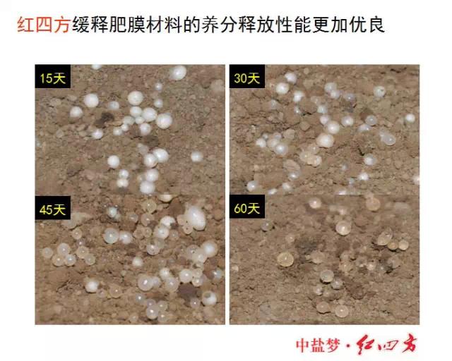 紅四方緩控釋肥高科技 紅四方緩控釋肥高科技