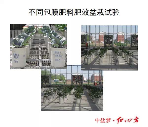 紅四方緩控釋肥高科技 紅四方緩控釋肥高科技