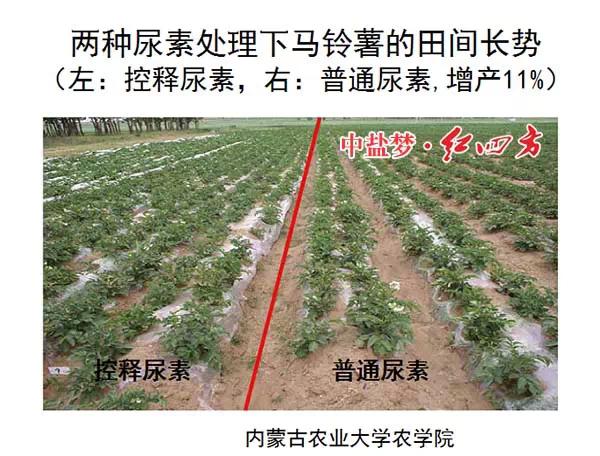 紅四方緩控釋肥高科技 紅四方緩控釋肥高科技