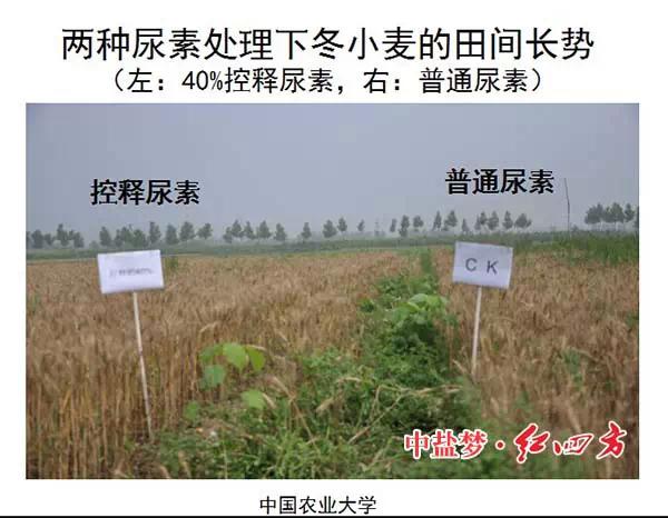 紅四方緩控釋肥高科技 紅四方緩控釋肥高科技