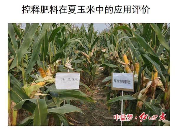 紅四方緩控釋肥高科技 紅四方緩控釋肥高科技