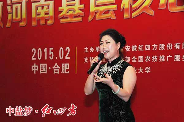 中鹽紅四方2015年豫皖基層核心客戶年度營銷峰會招待晚宴
