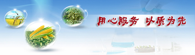 紅四方復合肥用心服務&middot;以質為先