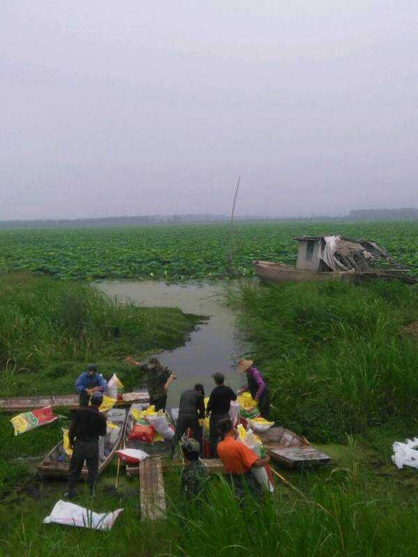 大家為蓮藕追施專用肥 大家為蓮藕追施專用肥