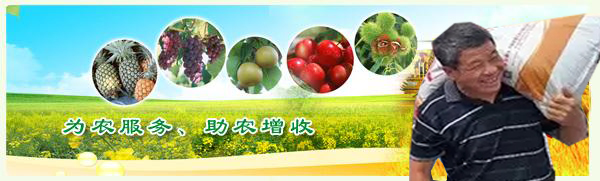 紅四方農(nóng)資人的辛苦??！