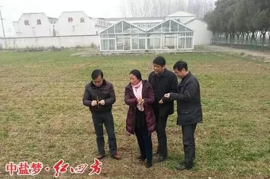 三變身份,不變初心的紅四方復合肥老業務員 三變身份,不變初心的紅四方復合肥老業務員