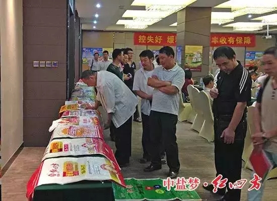 躬耕盛夏，蓄力金秋。我們不復制激動，只創造激情！