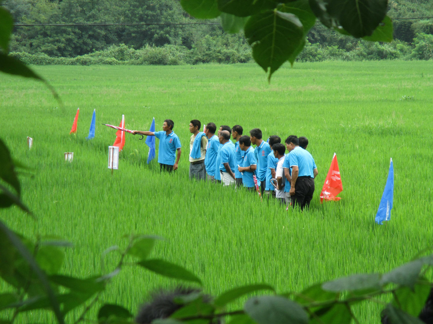 紅四方組織的&ldquo;全國農技推廣中心-中鹽紅四方新型肥料觀摩總結會&rdquo;在湖南省衡東縣楊橋鎮湖田村召開