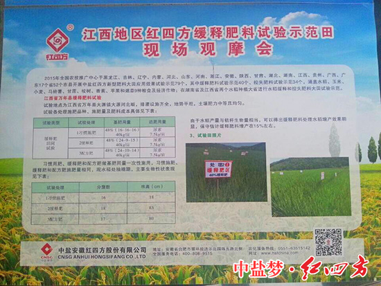 紅四方緩釋肥料試驗田