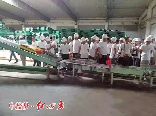 參觀復合肥生產車間圖.