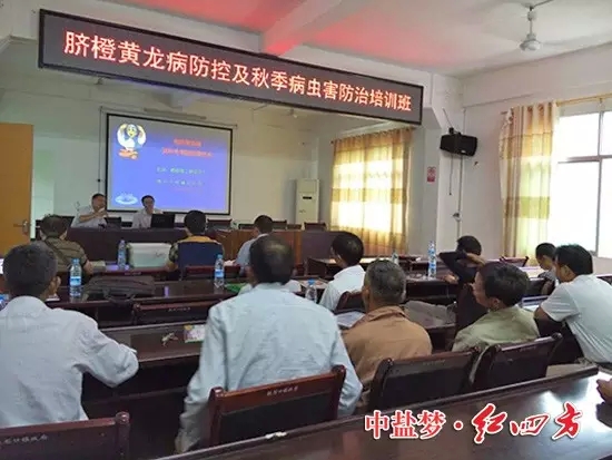 江西信豐——送“科技”進村，農戶足不出戶學技術
