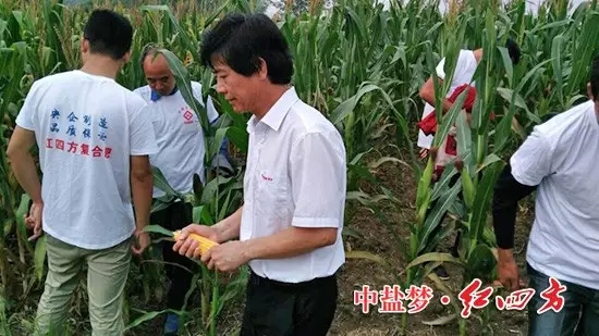 紅四方明光經銷商劉廷府在澗溪鎮召開紅四方緩釋肥觀摩會，50名農戶應邀參加1.