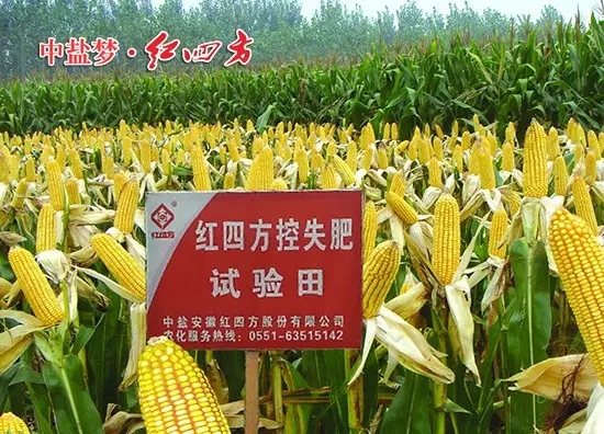 紅四方控失肥在玉米的高產栽培中很給力，肥效時間長，利用率高，玉米后期不脫肥，產量高！.
