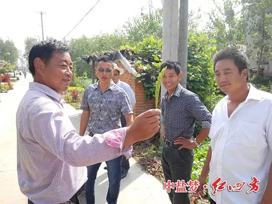 江蘇金湖施漢明在前鋒鄉，組織40名種田大戶進行了水稻觀摩會，施用紅四方45%（15-15-15）的水稻籽粒飽滿，肥效受到大戶稱贊，也為網點商增強了銷售信心。