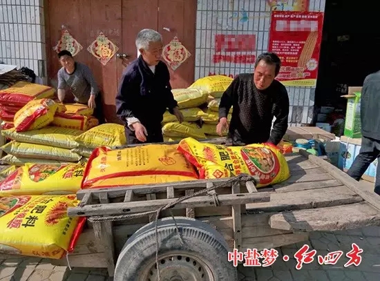 小麥肥哪家強，還數紅四方.