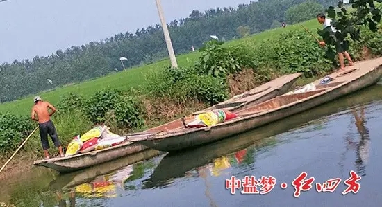 擺渡的人甩開膀子干活,將一袋袋紅四方蓮藕專用肥運(yùn)往藕塘……. 擺渡的人甩開膀子干活,將一袋袋紅四方蓮藕專用肥運(yùn)往藕塘…….