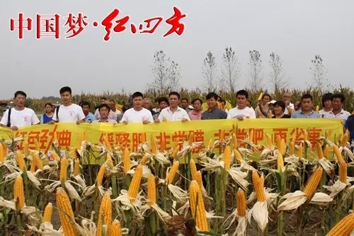 中鹽紅四方一直將產品創新作為企業發展的第一要務，大力開展農化服務和新型肥料。