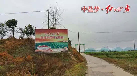 下雪天，我們紅四方業務員在冬雪天氣中奔走
