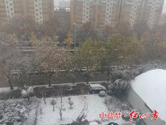 小雪過后，全國大面積開啟了雨雪模式，淮北也羞答答地加入其中，靜悄悄地下了一場大雪。雖說“旺季賣肥料，淡季做儲備”，若整天頂著風雪跑網點、拜訪客戶或上門要賬，也需要很大的“勇氣
