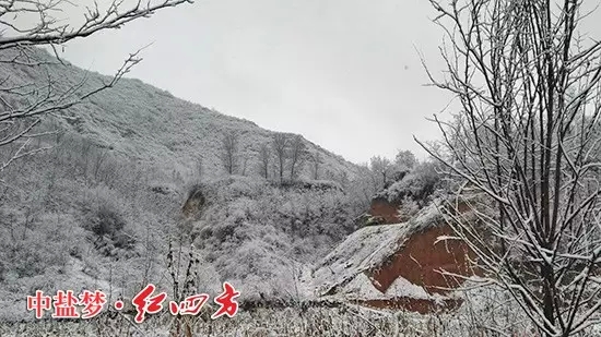 河南林州大雪紛飛了好幾天，一片銀裝素裹，美麗極了，也讓紅四方農化銷售員走村入戶的道路變得崎嶇坎坷