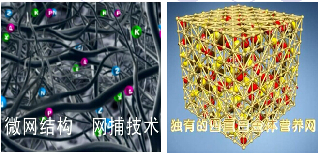 網捕技術有效保留養分不流失