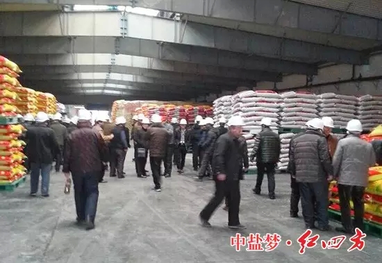 ▲兩旁排列整齊的、品種齊全的復(fù)合肥產(chǎn)品，上前看個(gè)仔細(xì)！