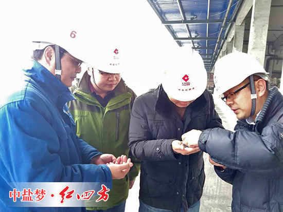零距離體驗(yàn)，探究紅四方復(fù)合肥造粒奧秘