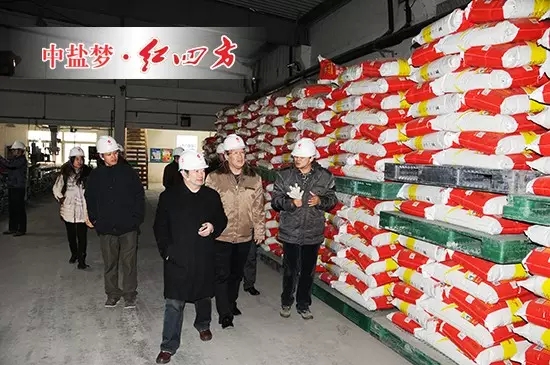 2015年，中鹽紅四方領(lǐng)跑整個化肥行業(yè)，率先踐行減肥增效行動，79塊試驗示范基地覆蓋17個省的多種作物，試驗效果非常顯著。