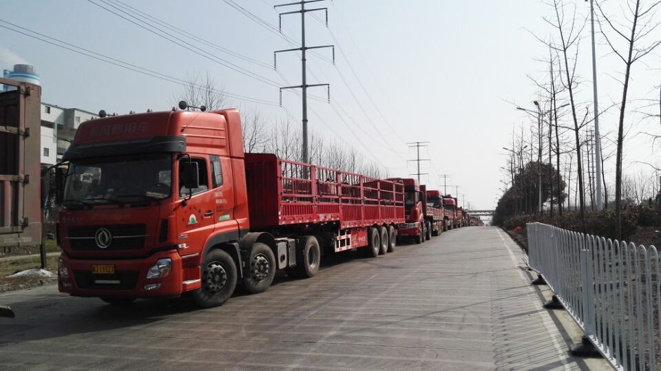 中鹽紅四方復合肥廠家門口排起車隊長龍，等待運輸復合肥料。