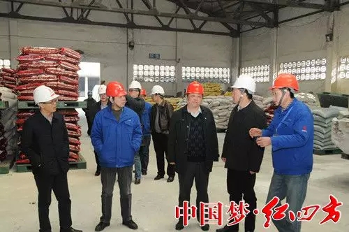 公司領導朱楓、羅斌、丁明志、陳慶年、王吉鎖熱情接待并召開座談會。