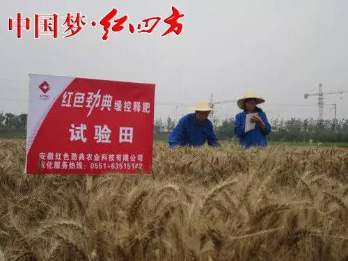 紅四方農化服務現場