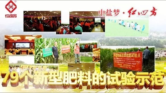 79個新型肥料實驗示范