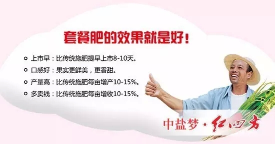 施用套餐肥，蘋果增產更有保障。