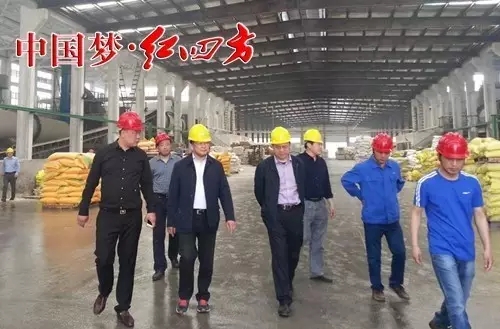 中鹽紅四方董事長朱峰前往湖北復合肥廠考察調研