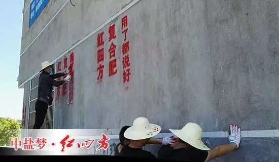 紅四方復合肥，用了都說好