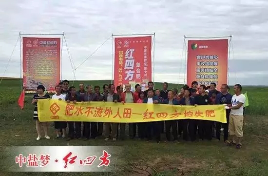 種葵花，我們都用紅四方復(fù)合肥！