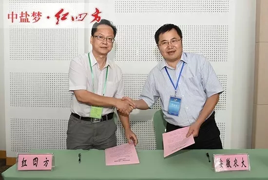 中鹽紅四方與安徽農業大學舉行合作簽約儀式 中鹽紅四方與安徽農業大學舉行合作簽約儀式