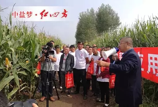 全國農技推廣中心、吉林省土肥總站、扶余土壤肥料站等領導、專家與吉林經銷商、大戶110多人齊聚一堂,實地觀摩玉米控失肥應用試驗示范。 全國農技推廣中心、吉林省土肥總站、扶余土壤肥料站等領導、專家與吉林經銷商、大戶110多人齊聚一堂,實地觀摩玉米控失肥應用試驗示范。