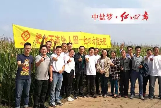 全國農技推廣中心孟遠奪(左七),吉林省土肥總站、扶余土壤肥料站等領導、專家,紅四方副總經理陳勇(左八)全程參與本次走訪活動。.webp.jpg 全國農技推廣中心孟遠奪(左七),吉林省土肥總站、扶余土壤肥料站等領導、專家,紅四方副總經理陳勇(左八)全程參與本次走訪活動。.webp.jpg
