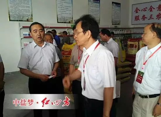 他們的梨樹全部選用了高效綠色的紅四方硫酸鉀（17-17-17）復合肥，結出的梨子個頭更大，汁更多，味更甜，還能提前上市。