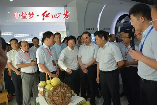 通過選用高效肥料，豐富果樹營養(yǎng)，提高樹皮含水量，增強果樹抗病性，以提高坐果率、果實重量和糖分含量