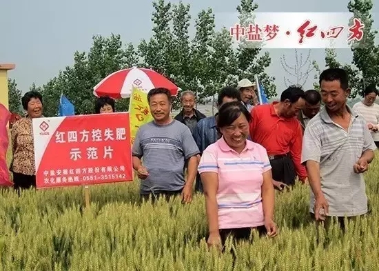 2015年2月15日河南濟源,紅四方控失肥較其他試驗肥料施肥效果明顯,小麥葉片大、濃綠、分蘗多控失肥與常規施肥和測土配方施肥相比分蘗期,株高,結實率和千粒重都較高 2015年2月15日河南濟源,紅四方控失肥較其他試驗肥料施肥效果明顯,小麥葉片大、濃綠、分蘗多控失肥與常規施肥和測土配方施肥相比分蘗期,株高,結實率和千粒重都較高