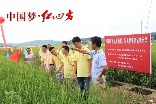 中鹽紅四方是全國首家農化服務中心，開展農業調查和土壤測試，開展配方制定和合理生產復合肥，開展農化咨詢服務，為農民答疑解難。其農化服務是厚重有根基的。