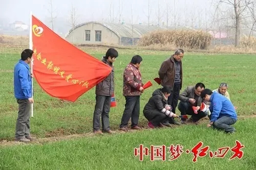 中鹽紅四方不但注重科技研發，還不懈推廣新產品，引導農民科學選肥、科學施肥。