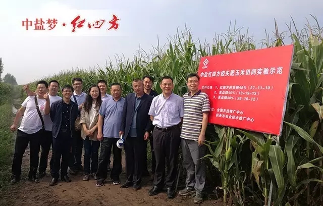 9月6日吉林省扶余玉米控失肥試驗示范現場觀摩會 9月6日吉林省扶余玉米控失肥試驗示范現場觀摩會