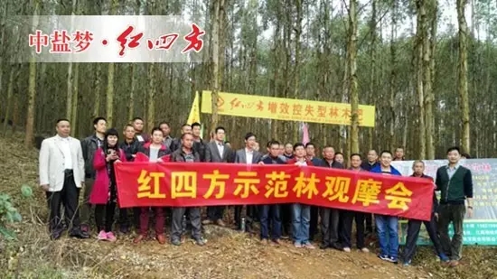 觀摩會人員紀念難忘時刻 觀摩會人員紀念難忘時刻