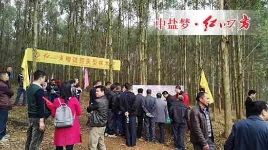 觀摩會現場相互取經 觀摩會現場相互取經