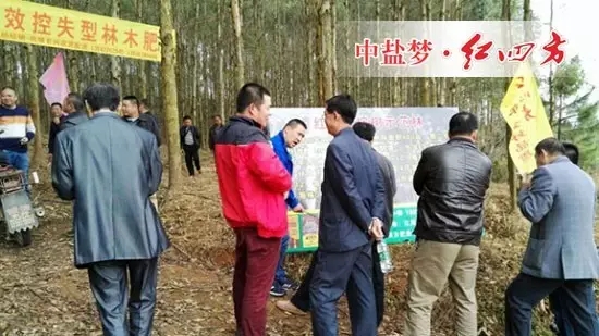 陳繼俊經理為種植大戶介紹施肥技術 陳繼俊經理為種植大戶介紹施肥技術