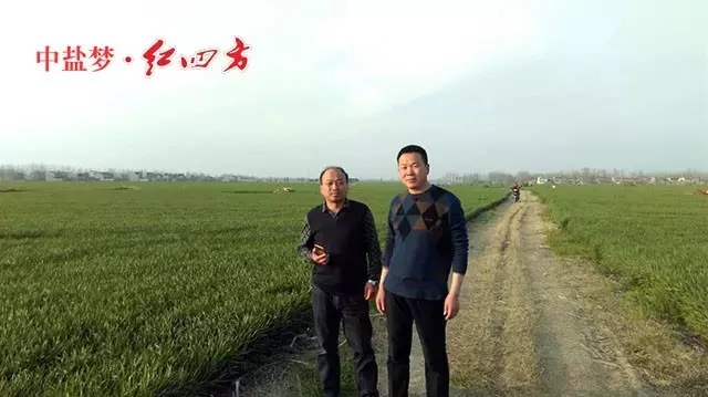 越冬作物施好臘肥 越冬作物施好臘肥