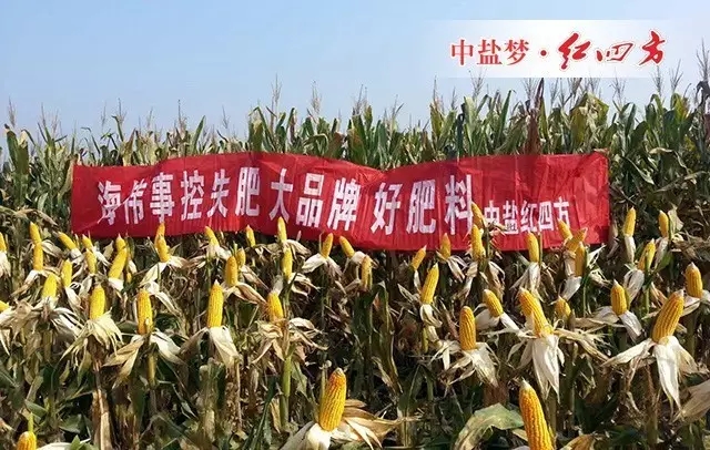 經常配合他們搞好集市宣傳工作,采取捆綁式銷售方法,形成肥料、種子、農藥一體化,為農民做好服務,與零售商相互溝通、交流經驗,探討農業如何增產增收的好方法。 經常配合他們搞好集市宣傳工作,采取捆綁式銷售方法,形成肥料、種子、農藥一體化,為農民做好服務,與零售商相互溝通、交流經驗,探討農業如何增產增收的好方法。